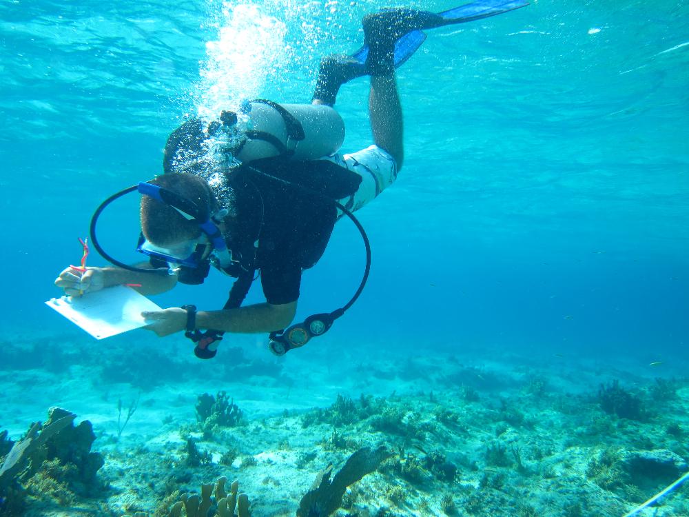 Collecting data underwater in Turks and Caicos